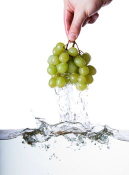 Grapes being pulled out of water