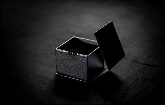 Black box concept