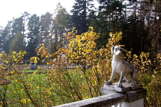 Marble dog in autumn park
