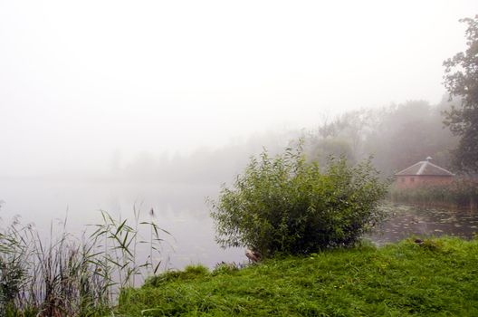 Mystic lake drowned in fog, green coastal vegetation and small hut on beach.