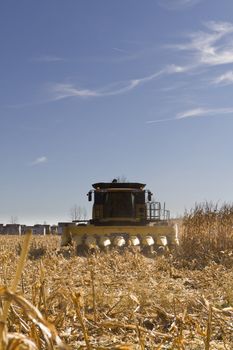 Corn harvesting machinery in the suburbs of Indianapolis.