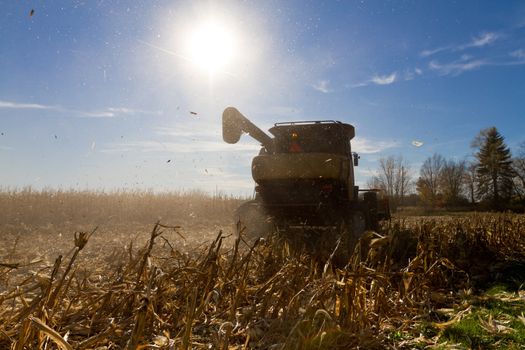 Taking harvesting corn machine raises your allergies, period.