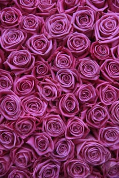 Group of fuchsia pink roses in a floral arrangement