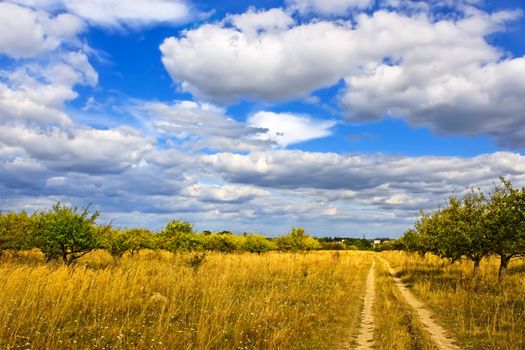 Rural late summer landscape. Dirt road among trees and meadows