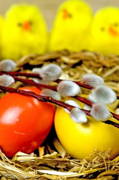 easter basket with painted eggs, catkin and biddies