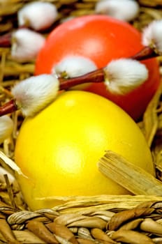 easter basket with painted eggs and catkin