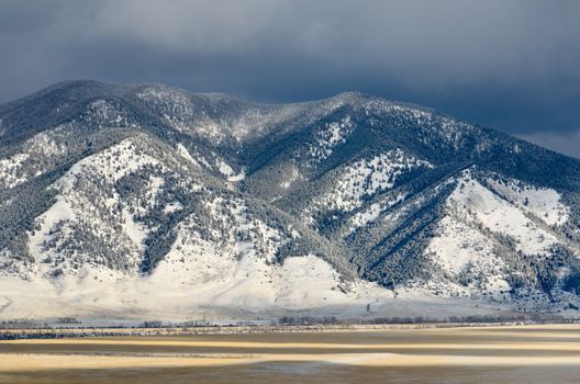 Forested ridge with snow cover, Madison County, Montana, USA