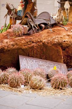 Saddle and cactus on red rock