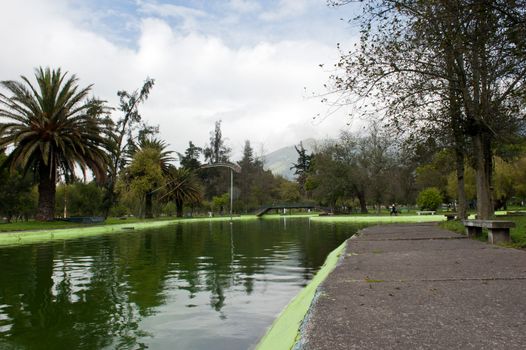 views of the beautiful public gardens in Quito