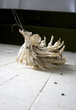 Jaw bones on the white surface
