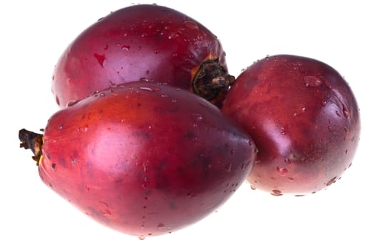 Tamarillo, or tomate de árbol on a white background
