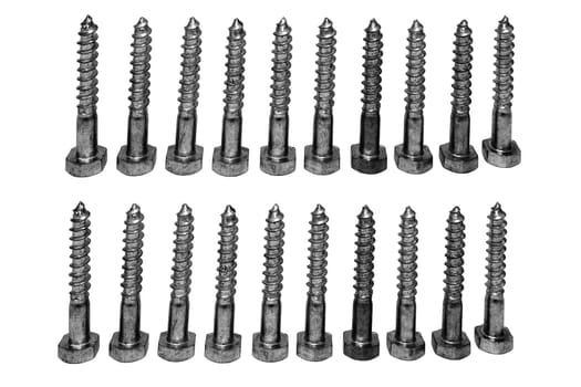 Two rows of hexagonal steel bolts or screws standing upright isolated on white