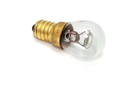Small screw in light bulb with transparent glass showing element and circuitry on white with shadow