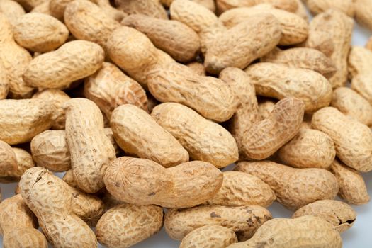 
Dried peanuts in closeup on the white background