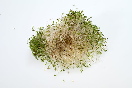 The healthy diet. Fresh sprouts isolated on white background 