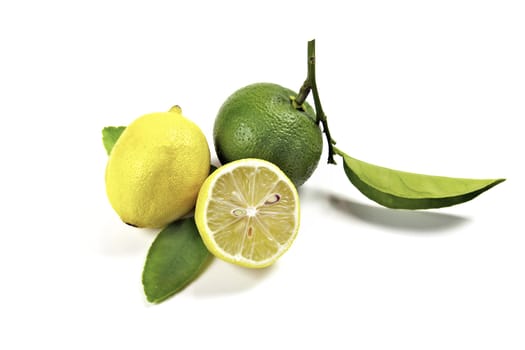 Lemon and Lime on a White Background