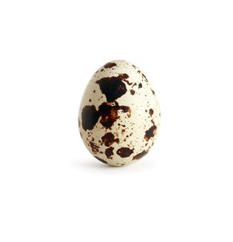 One quail egg on white background. Isolated with clipping path