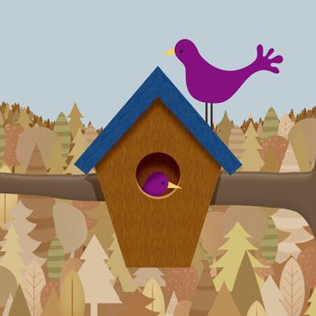 Illustration of a bird box with two birds and a forest background