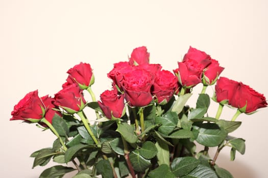 bouquet of red roses in a vase on white background
