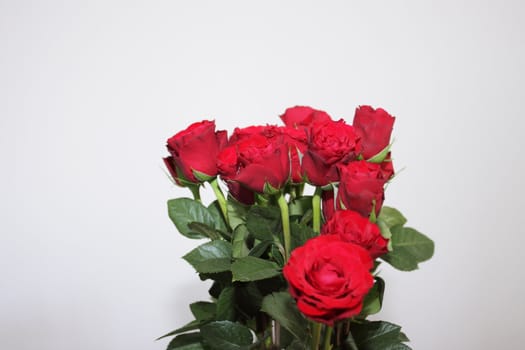 bouquet of red roses in a vase on white background