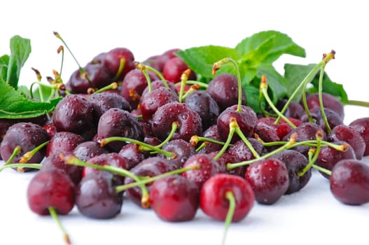 Fresh cherries in water droplets on a white background