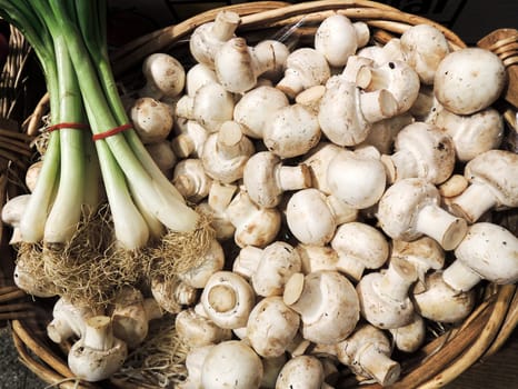 Mushroom and leek on market place