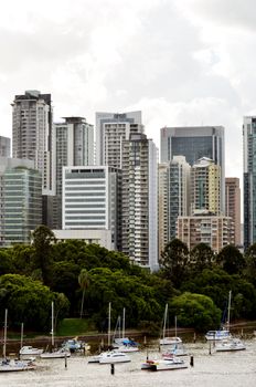 Brisbane city buildings behind the Botanic Gardens. In front are yachts anchored in the Brisbane River.