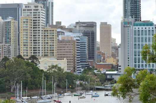 Brisbane's skyscrapers beyond the northern bank of the Brisbane River.