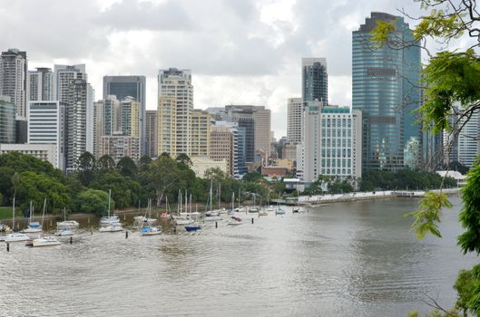 Brisbane's central business district buildings behind the Brisbane river