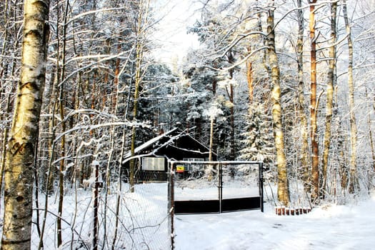 beautifull winter view of house in forest with a lot of snow