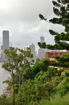 Green trees on the south bank of the Brisbane River is the primary focus. In the background is Brisbane city's buildings on the northern bank of the Brisbane River