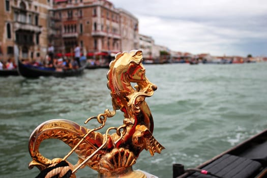 Golden Skate in Venice. View on the River