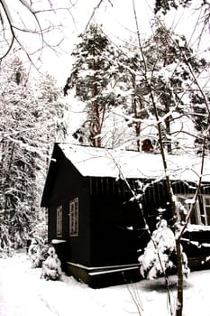Winter landscape house with icicles in the woods
