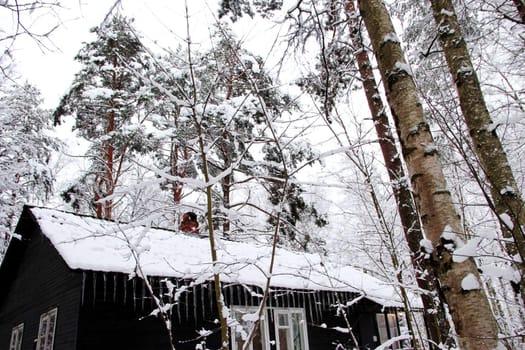 Winter landscape house with icicles in the woods