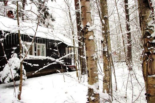 Winter landscape house with icicles in the woods