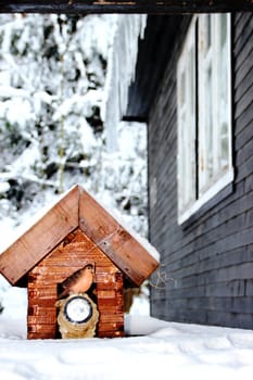 house for birds in winter landscape, icicles