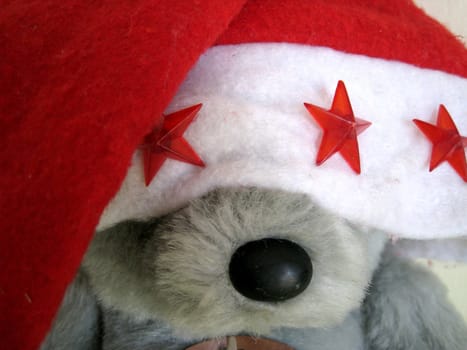 a bear cover it's eye with a Santa hat.