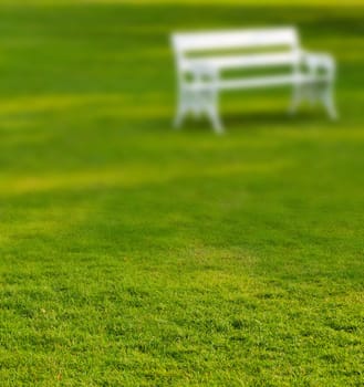 Blurry Long white bench in the park on a beautiful lawn