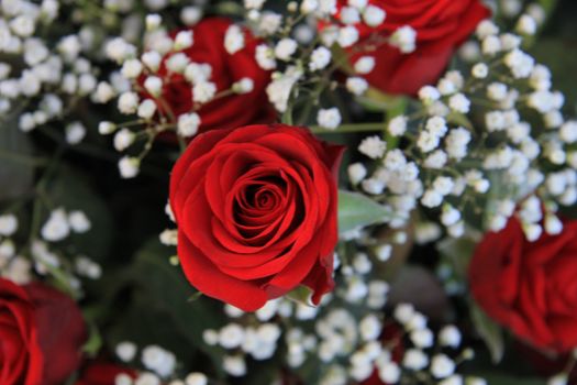 Red roses and white gypsophila or baby's breath in a valentine's bouquet