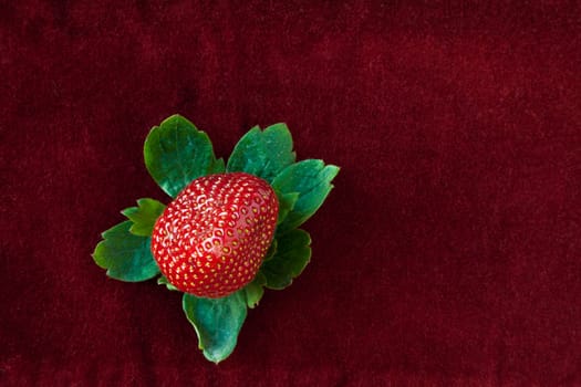 Red strawberry surrounded by green leaves isolated on red velvet cloth background.