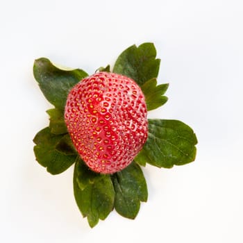 Red strawberry surrounded by green leaves isolated on white.