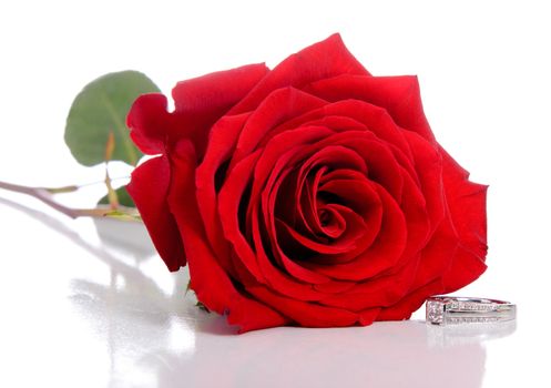 A diamond ring and rose, isolated against a white background.
