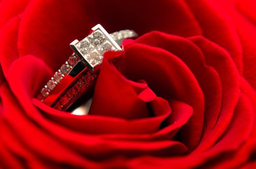 Macro view of a diamond engagement ring in a red rose