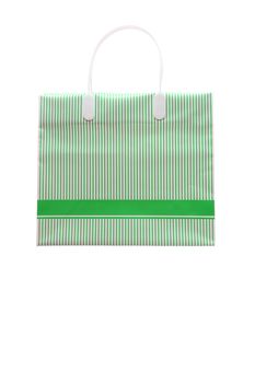 Studio shot of Green strip shopping bag with blank copy space on bag for your text