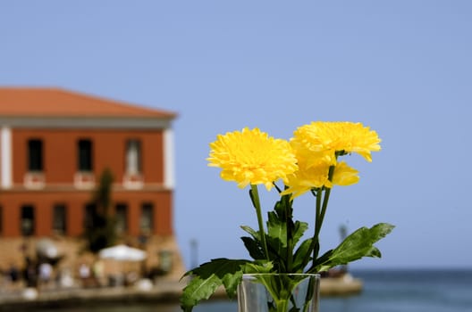 flower and sea