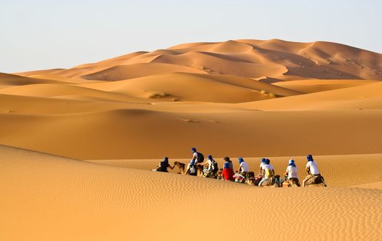 Camel caravan going through the sand dunes in the Sahara Desert, Morocco.