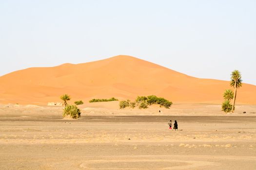 Moroccan desert dunes landscape