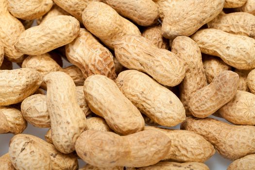 
Dried peanuts in closeup on the white background