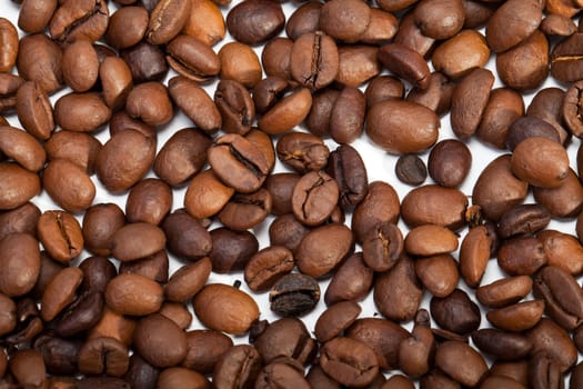 coffee beans close up isolated on white