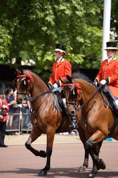 Trooping of the Colour, London 2006